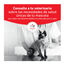 9 kg Royal Canin Veterinary Urinary S/O Moderate Calorie pienso para gatos, , large indicador imagen numero 3