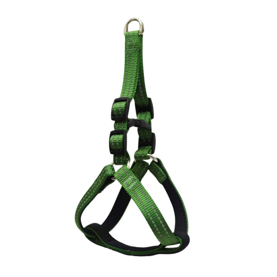 Gotoo Arn&eacute;s reflectante de neopreno verde para perros, , large Imagen numero 1