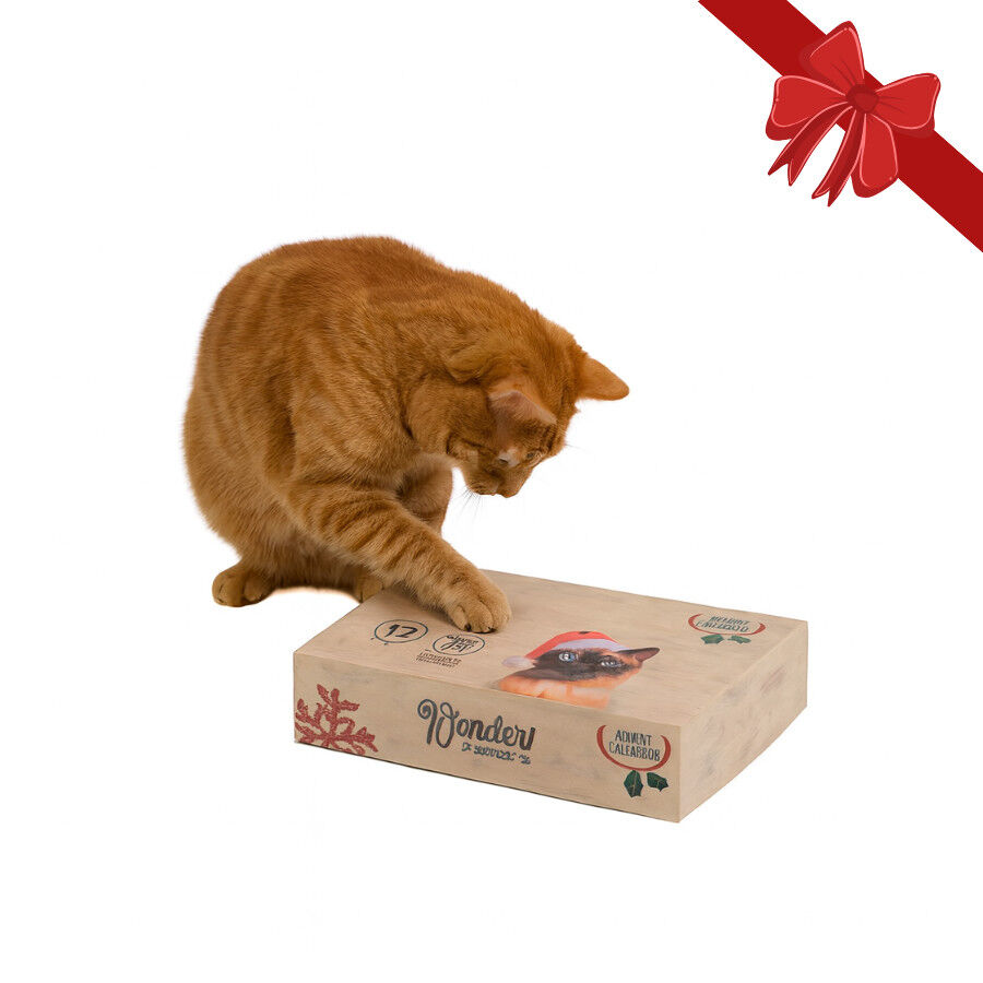Wonder Christmas Caja Sorpresa Juguetes Navideños para gatos