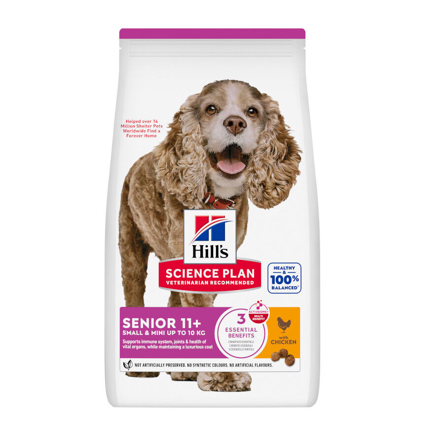Hill's Science Plan Senior Small & Mini Pienso para perros seniors de razas pequeñas y mini