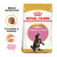 10 kg Royal Canin Kitten Maine Coon pienso para gatos, , large indicador imagen numero 2