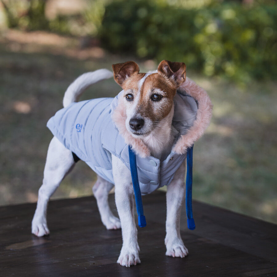 Freedog Abrigo Impermeable Iceguard Gris para perros thumbnail