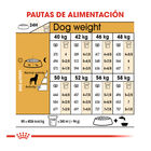 Royal Canin Adult Rottweiler pienso para perros, , large image number null