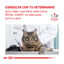 9 kg Royal Canin Veterinary Urinary Moderate Calorie pienso para gatos, , large indicador imagen numero 9