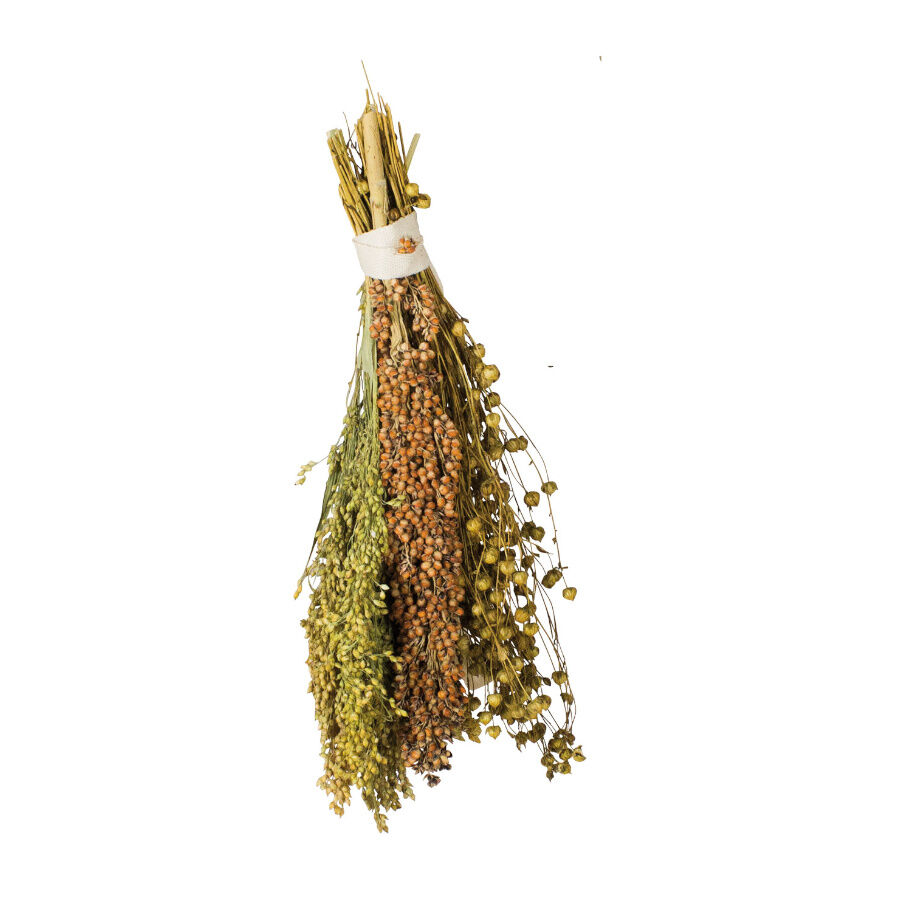 JR Farm Pick & Fly Ramillete de Semillas para p&aacute;jaros, , large Imagen numero 1