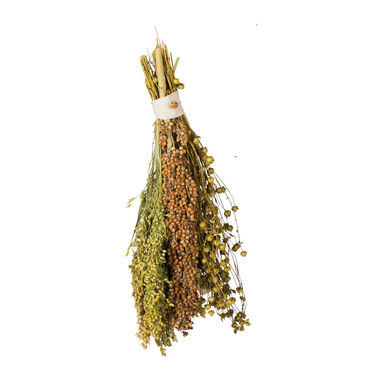 JR Farm Pick & Fly Ramillete de Semillas para pájaros
