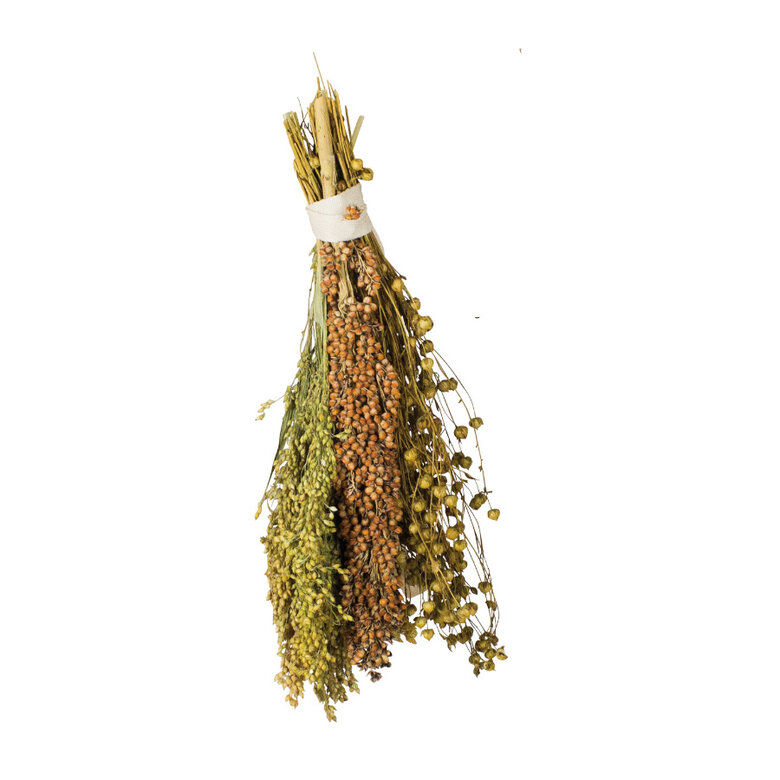 JR Farm Pick & Fly Ramillete de Semillas para pájaros,  Imagen numero 1 JR Farm Pick & Fly Ramillete de Semillas para pájaros, , large Imagen numero 1