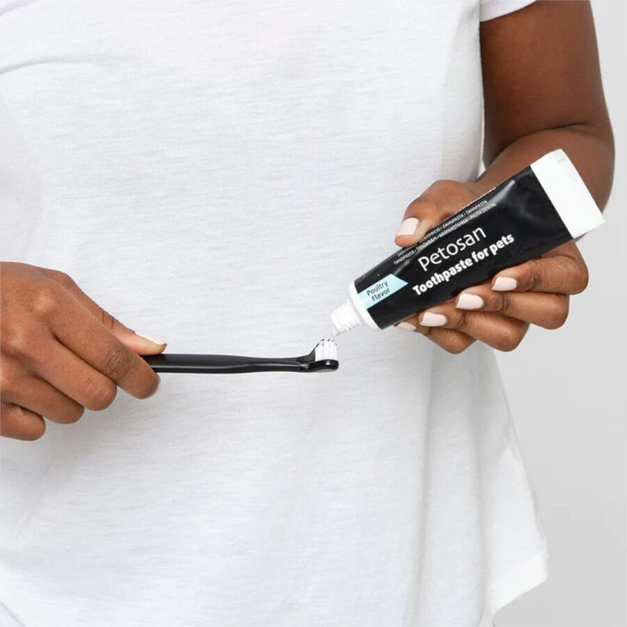 Petosan Kit Dental Grande para perros y gatos thumbnail