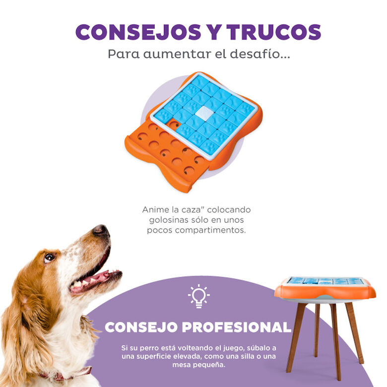 Outward Hound Challenge Slider Rompecabezas de Inteligencia para cachorros thumbnail