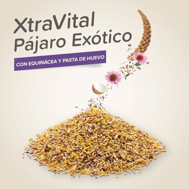 Beaphar XtraVital Premium Mixtura de Semillas para pájaros exóticos,  Imagen numero 3 Beaphar XtraVital Premium Mixtura de Semillas para pájaros exóticos, , large Imagen numero 3