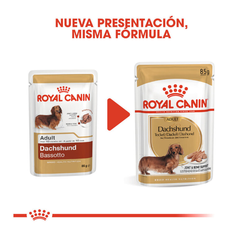 85 g Royal Canin Adult Teckel paté en sobre para perros,  Imagen numero 3 85 g Royal Canin Adult Teckel paté en sobre para perros, , large Imagen numero 3