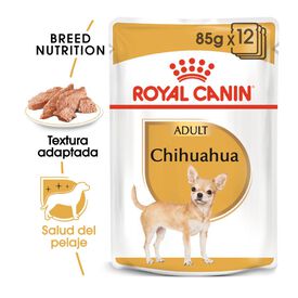 Royal Canin Adult Chihuahua paté en sobre para perros