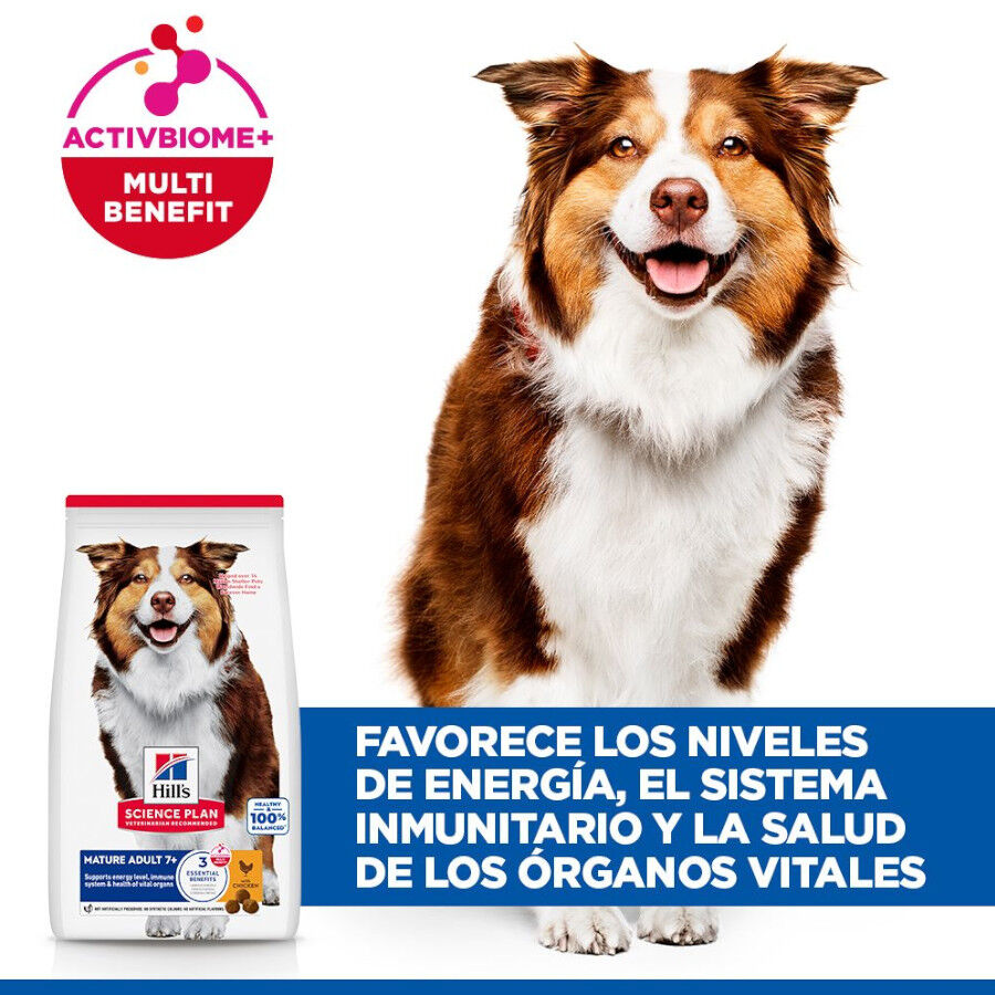 Hill&#039;s Science Plan Mature Adult Medium pienso pollo para perros de razas medianas thumbnail