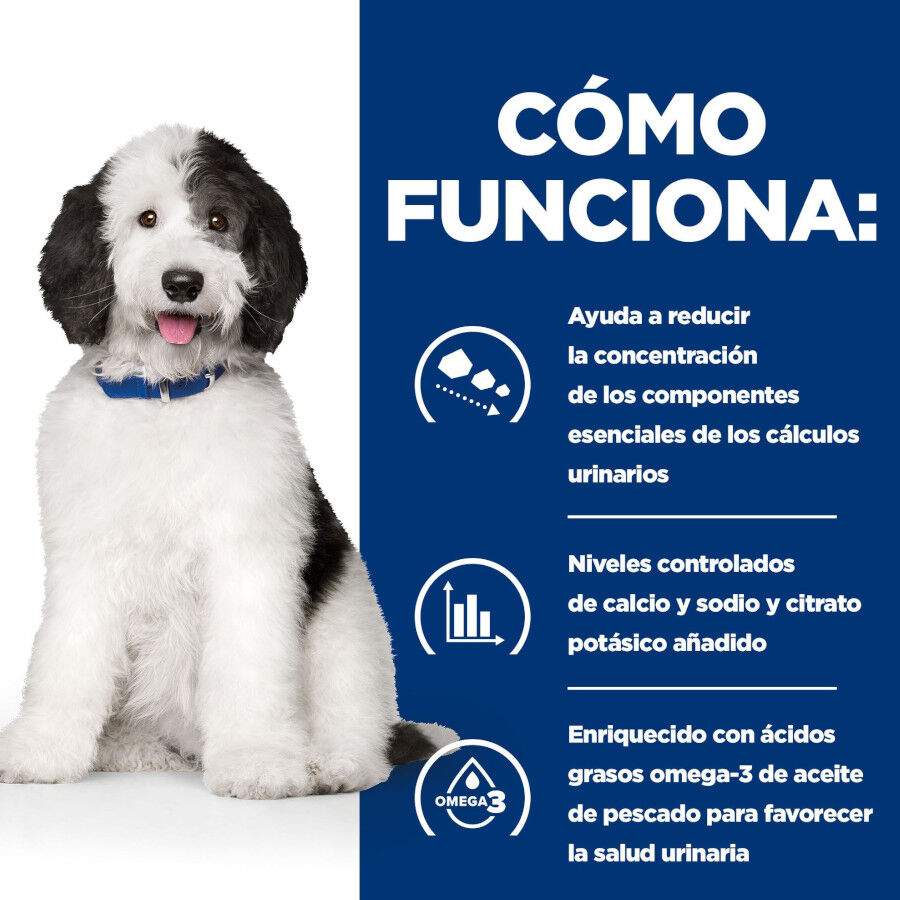 12 kg Hill's Prescription Diet Urinary Care c/d Pollo pienso para perros, , large Imagen numero 5