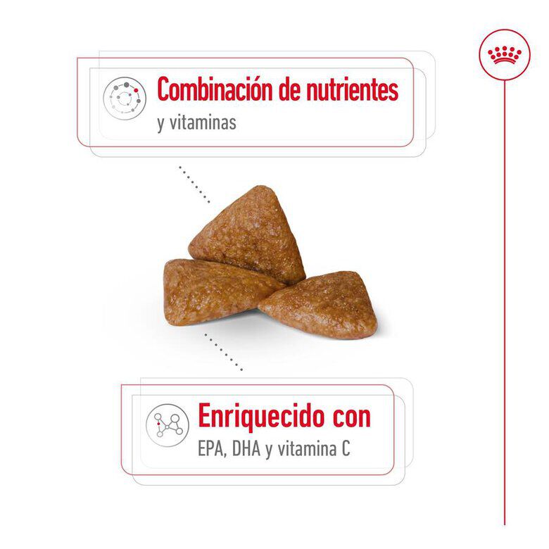 Royal Canin X-Small Ageing 12+ Adult pienso para perros thumbnail