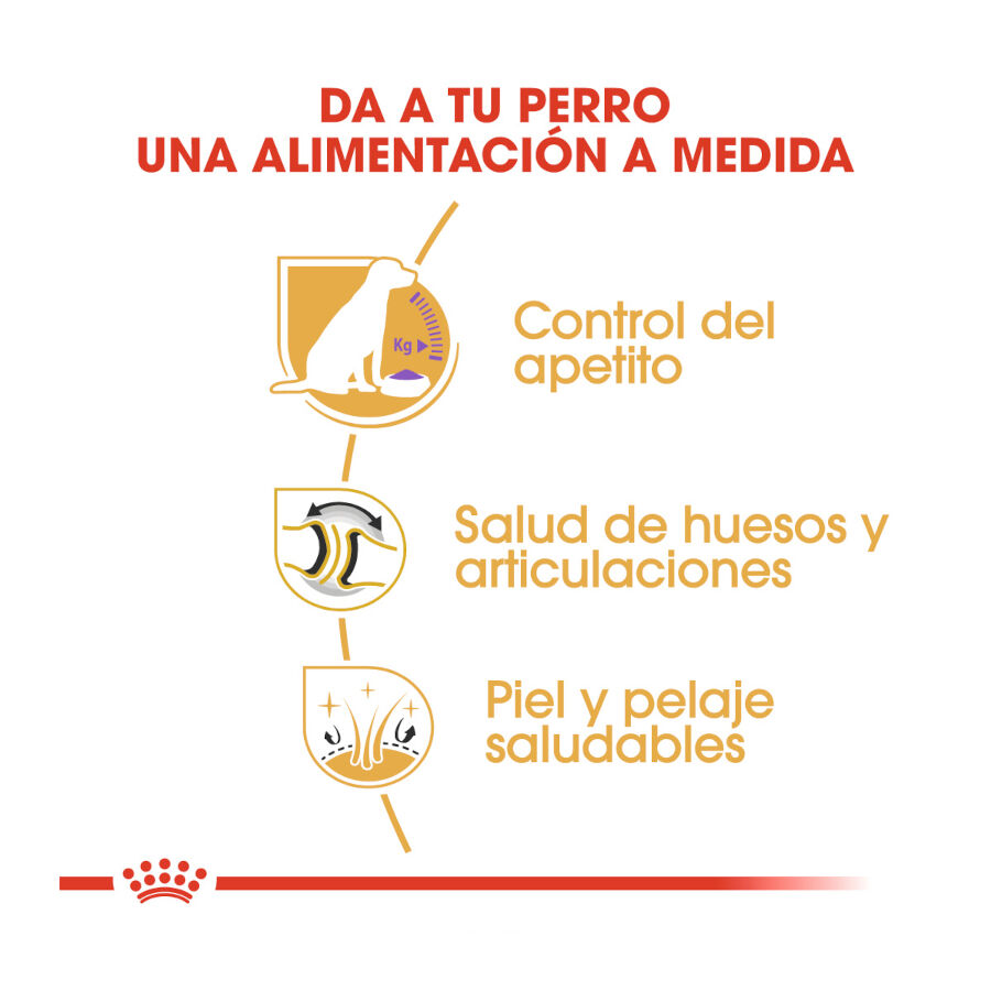 Royal Canin Adult Labrador Sterilised pienso para perros thumbnail