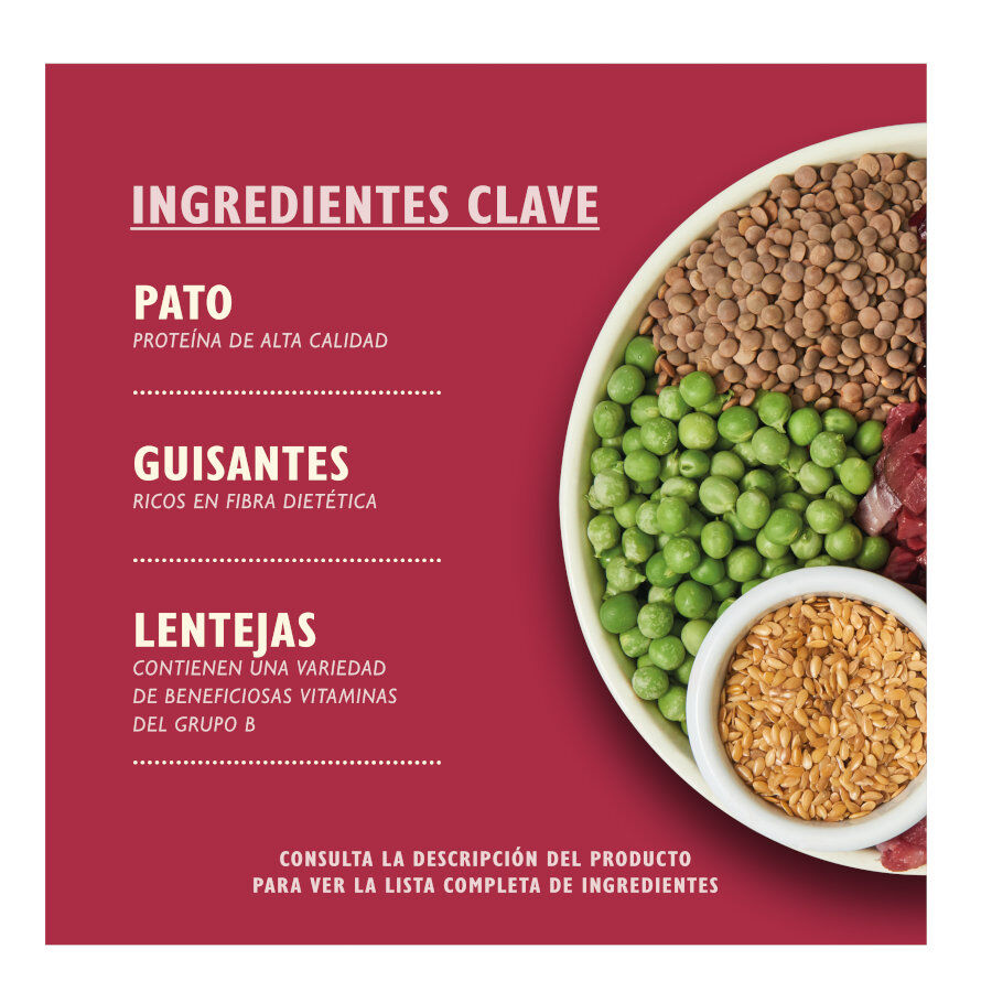 Lily&#039;s Kitchen Adult Pato, Salmón y Ciervo pienso para perros thumbnail