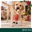 Wonder Christmas Pollo L&aacute;tex Juguete para perros, , large indicador imagen numero 2
