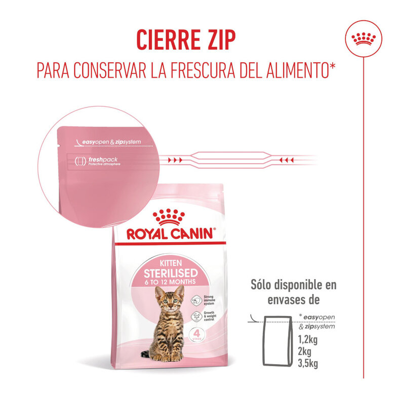 3.5 kg Royal Canin Kitten Sterilised pienso para gatos,  Imagen numero 12 3.5 kg Royal Canin Kitten Sterilised pienso para gatos, , large Imagen numero 12
