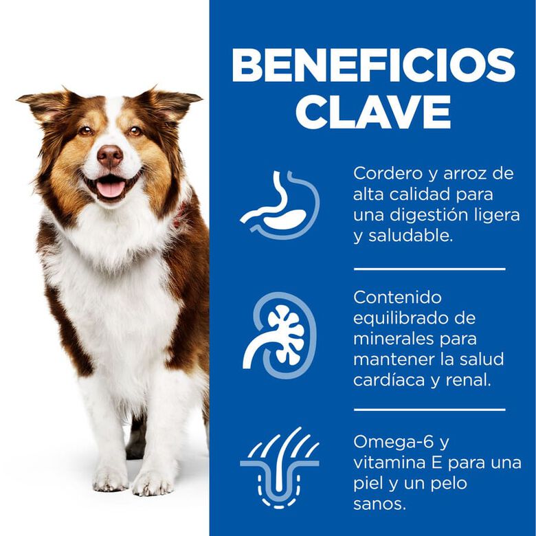 Hill&#039;s Science Plan Mature Adult Medium Cordero pienso para perros thumbnail