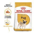 Royal Canin Adult Carlino pienso para perros, , large image number null
