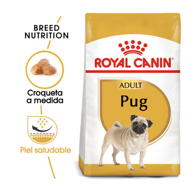 Royal Canin Adult Pug pienso para perros