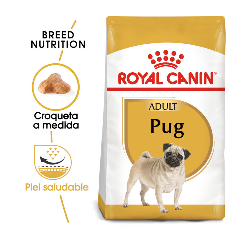 3 kg Royal Canin Adult Pug pienso para perros,  Imagen numero 2 3 kg Royal Canin Adult Pug pienso para perros, , large Imagen numero 2
