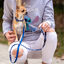 Disney Premium Stitch correa para perros, , large indicador imagen numero 4