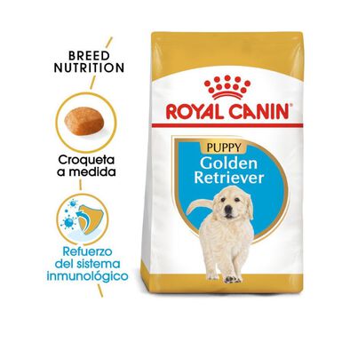 Royal Canin Puppy Golden Retriever pienso para perros