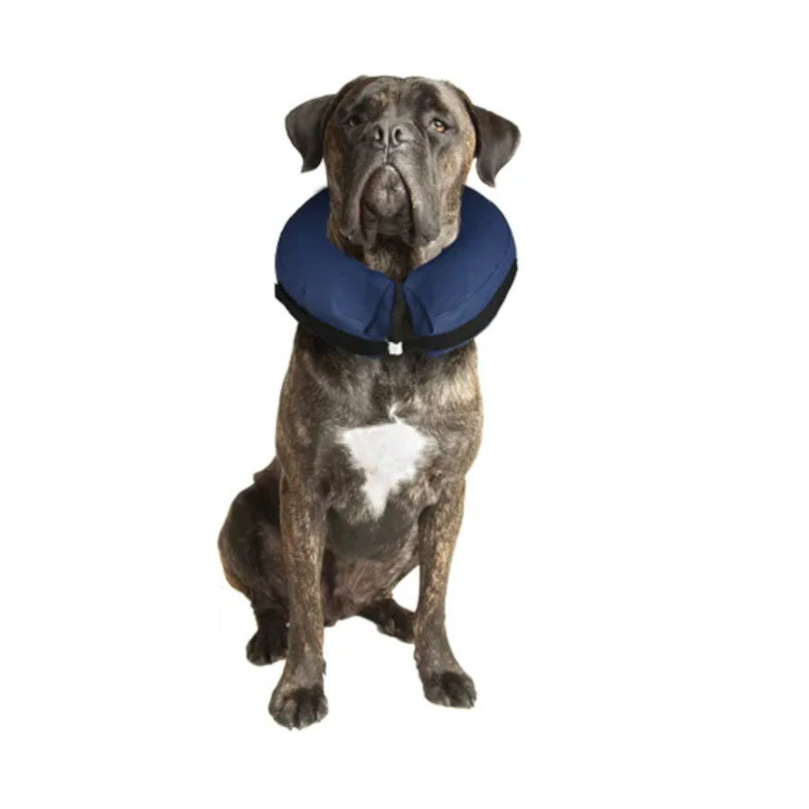 Karlie PetCare Collar Isabelino Inflable para perros thumbnail