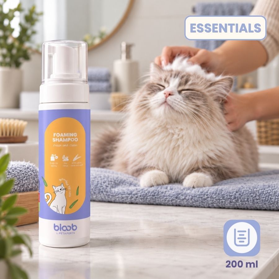 Bloob Champ&uacute; Seco en Espuma para gatos, , large Imagen numero 7