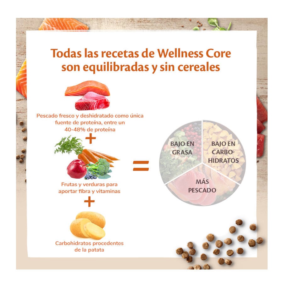 Wellness Core Adult Sterilised Ocean Salmón pienso para gatos thumbnail