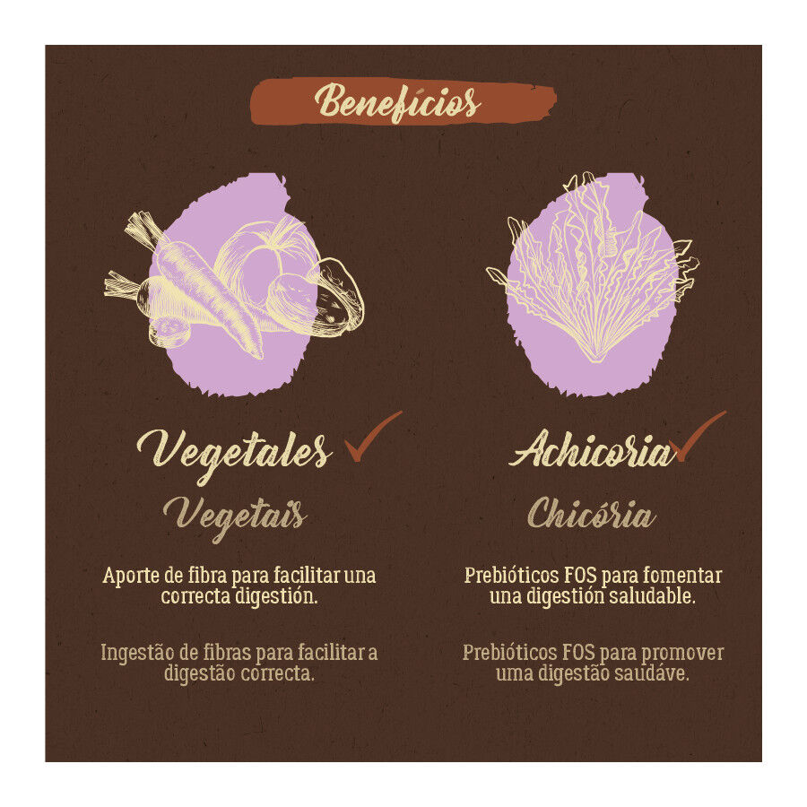 True Origins Pure Grain Free Adult Pavo pienso para perros thumbnail