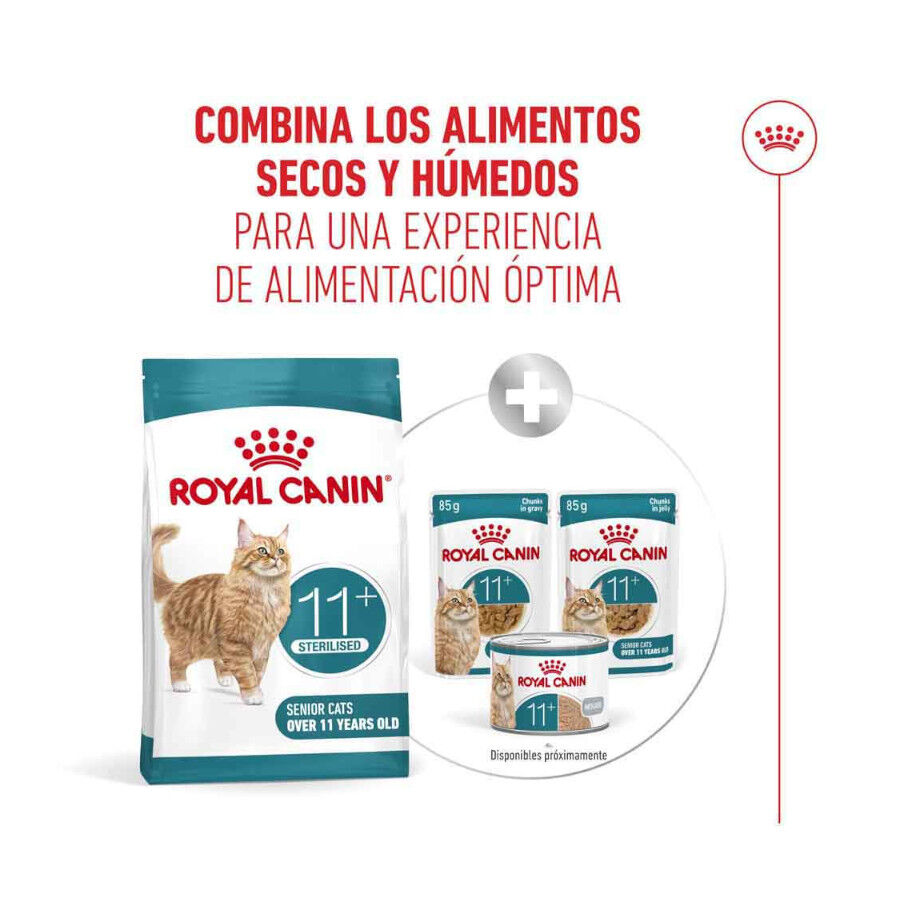 Royal Canin Ageing 11+ Sterilised pienso para gatos thumbnail
