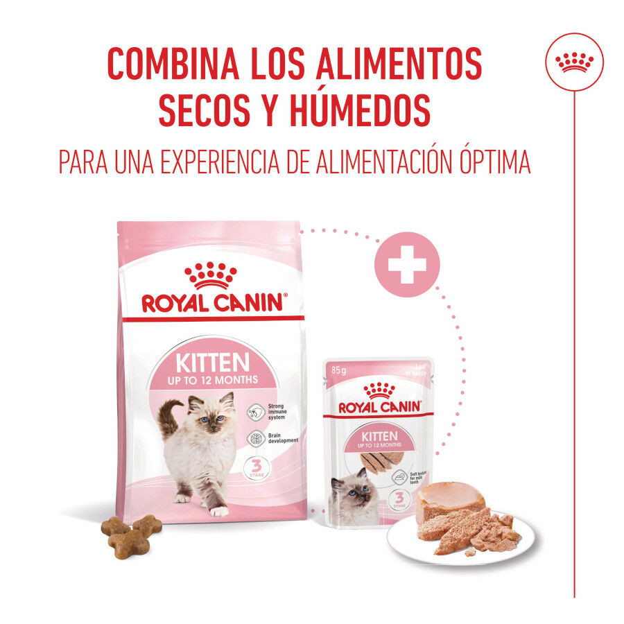 Royal Canin Kitten paté sobre para gatos thumbnail