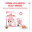 85 g Royal Canin Kitten paté sobre para gatos, , large indicador imagen numero 5