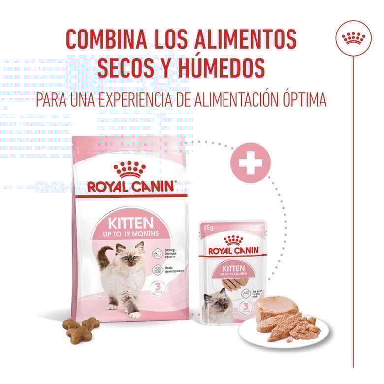85 g Royal Canin Kitten paté sobre para gatos,  Imagen numero 5 85 g Royal Canin Kitten paté sobre para gatos, , large Imagen numero 5