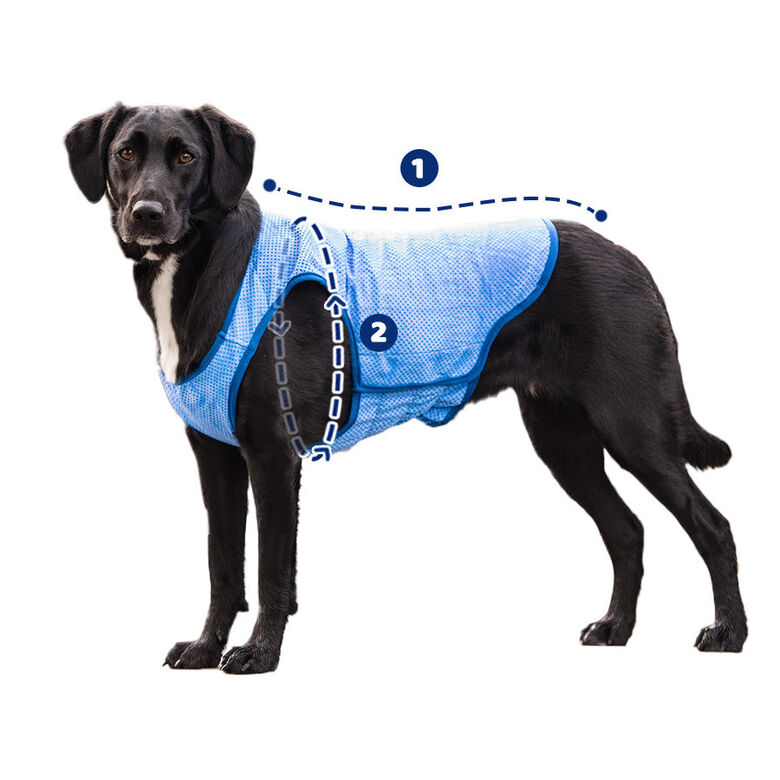 GF Pet ElastoFit Ice Vest Chaleco Refrescante para perros thumbnail