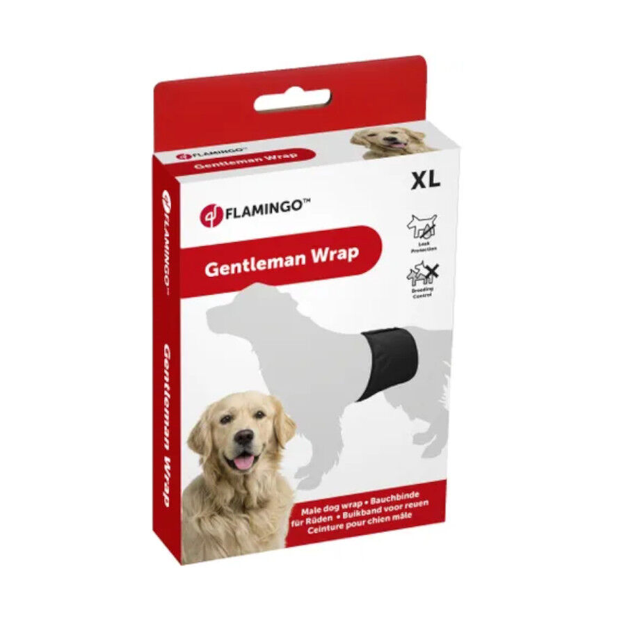 Flamingo Pañal Lavable para perros machos