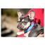Freedog Cool Pro Tech Collar Refrescante Fucsia Deportivo para perros, , large indicador imagen numero 3