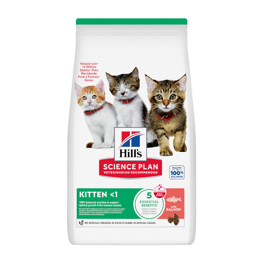 1.5 kg Hill's Science Plan Pienso Salm&oacute;n para gatitos, , large Imagen numero 1