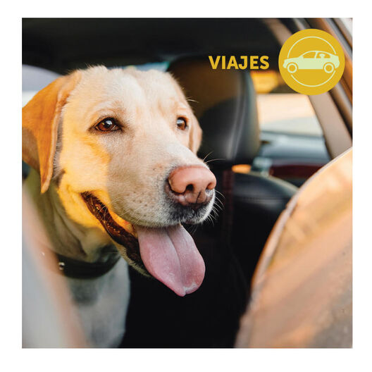 Adaptil Transport Spray Tranquilizante Viajes para perros, , large image number null