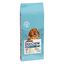 14 kg Dog Chow Puppy Cordero pienso para cachorros, , large indicador imagen numero 1