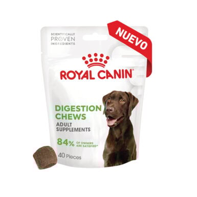 Royal Canin Digestion Chews Suplemento Nutricional para perros con sensibilidad