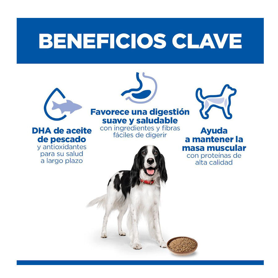48 latas x 370 g Hill's Science Plan Adult 1-6 Pollo, Pavo y Ternera lata para perros &iexcl;Pack ahorro!, , large Imagen numero 4