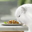 4 sobres x 85 g Gourmet Perle Filetes de Pollo y Buey en salsa sobre para gatos, , large indicador imagen numero 3