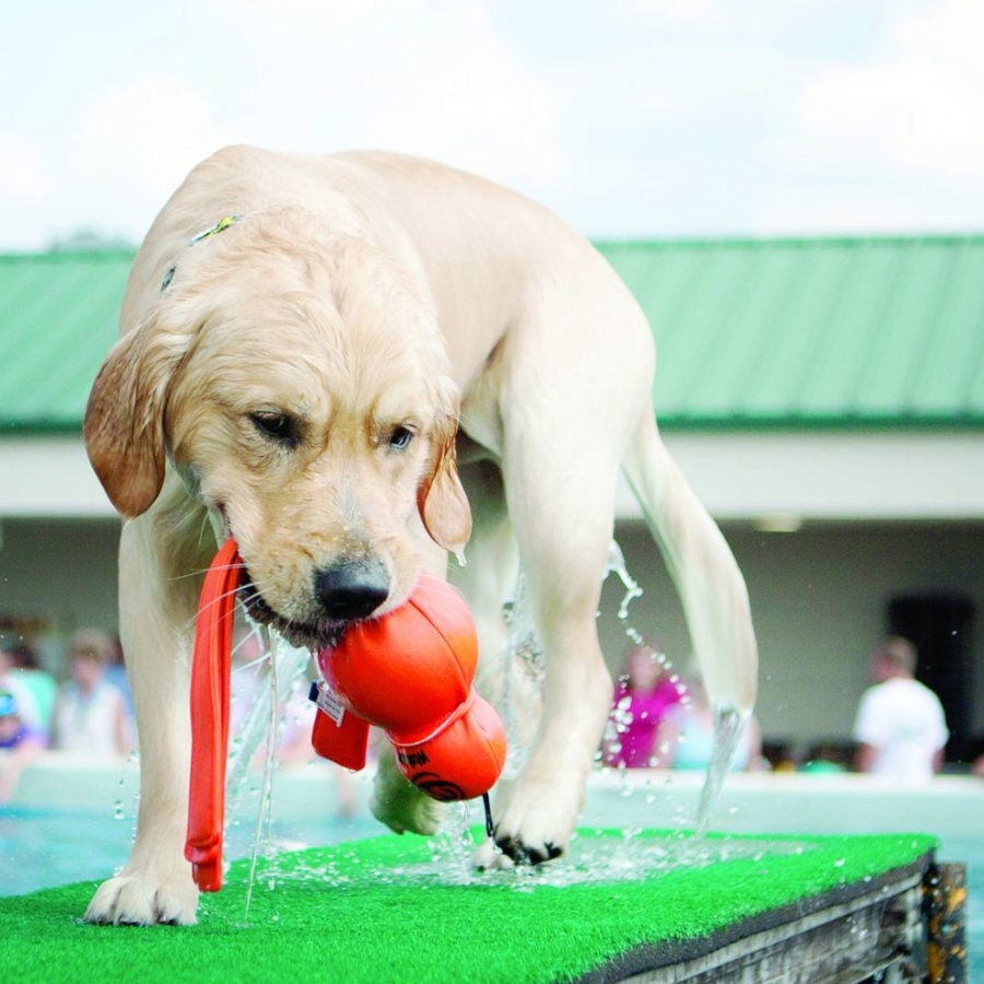 Kong Wubba Acu&aacute;tico juguete para perros, , large Imagen numero 2