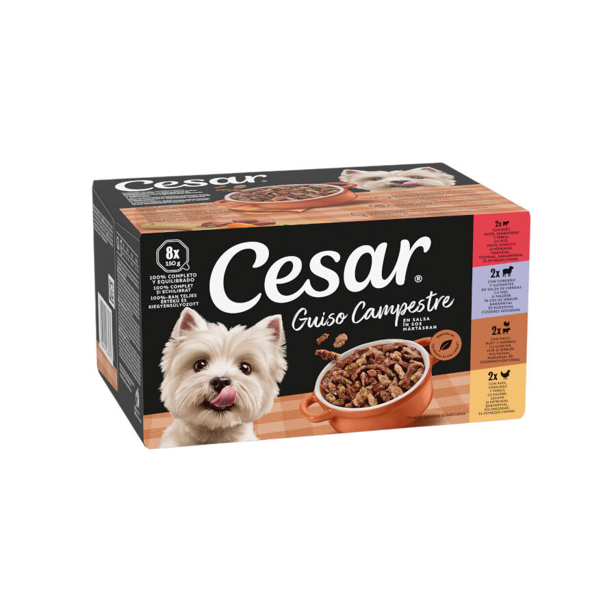 8 tarrinas x 150 g Cesar Receta campesina tarrina en Salsa para Perros , , large Imagen numero 1
