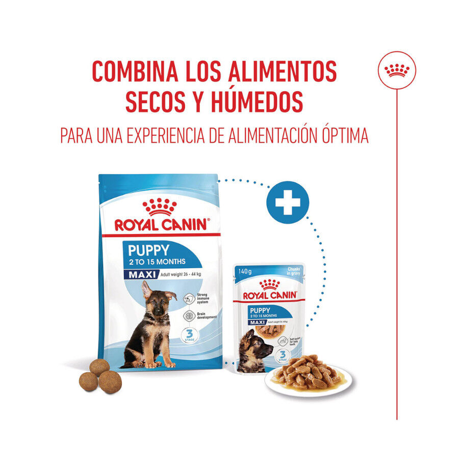 15 kg Royal Canin Puppy Maxi pienso para perros, , large Imagen numero 7