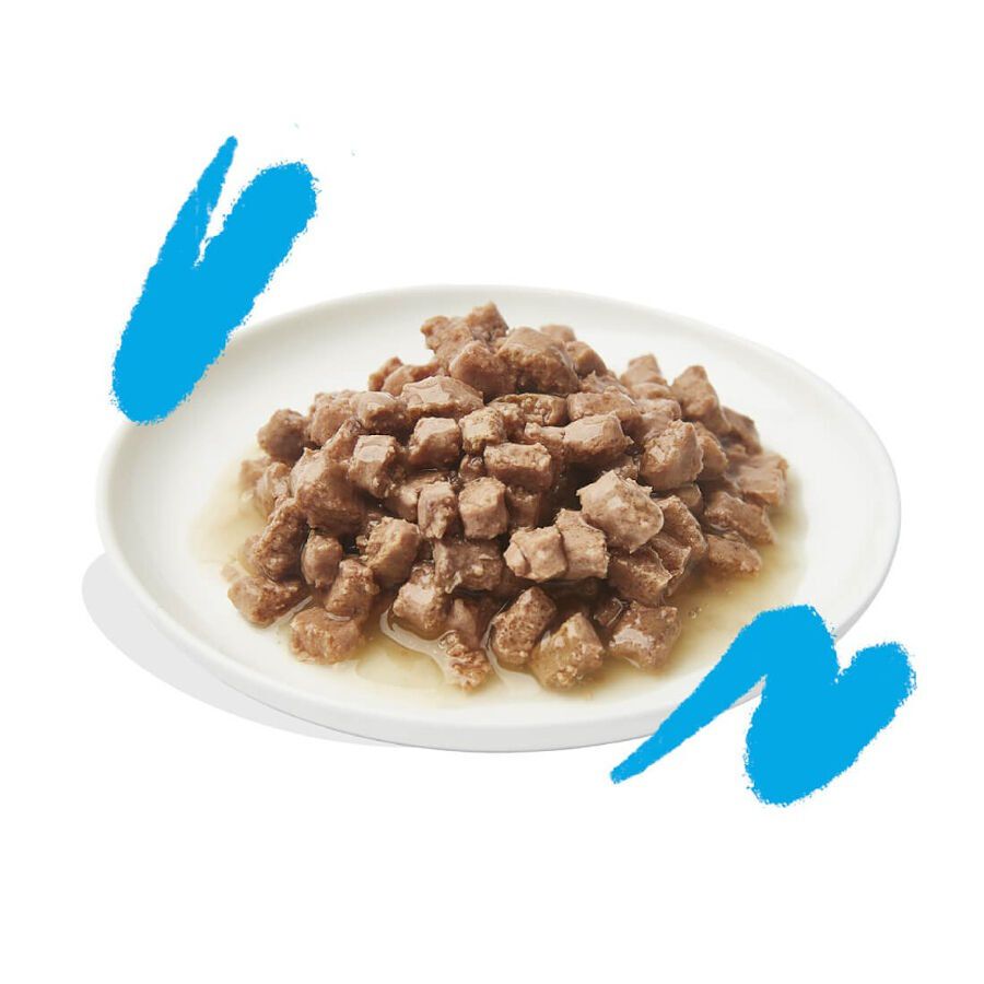 Edgard &amp; Cooper Adult Trocitos de Salmón y Pollo en Salsa lata para gatos thumbnail